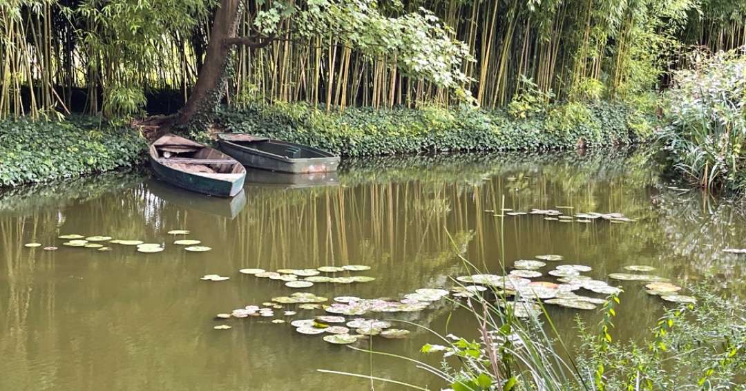 Two rowboats on pond with waterlilies